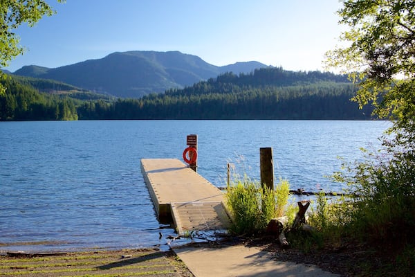 Central Washington which includes mountains, forest scenes and a lake or waterhole