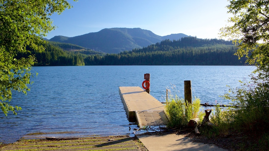 Central Washington showing forest scenes, a lake or waterhole and mountains