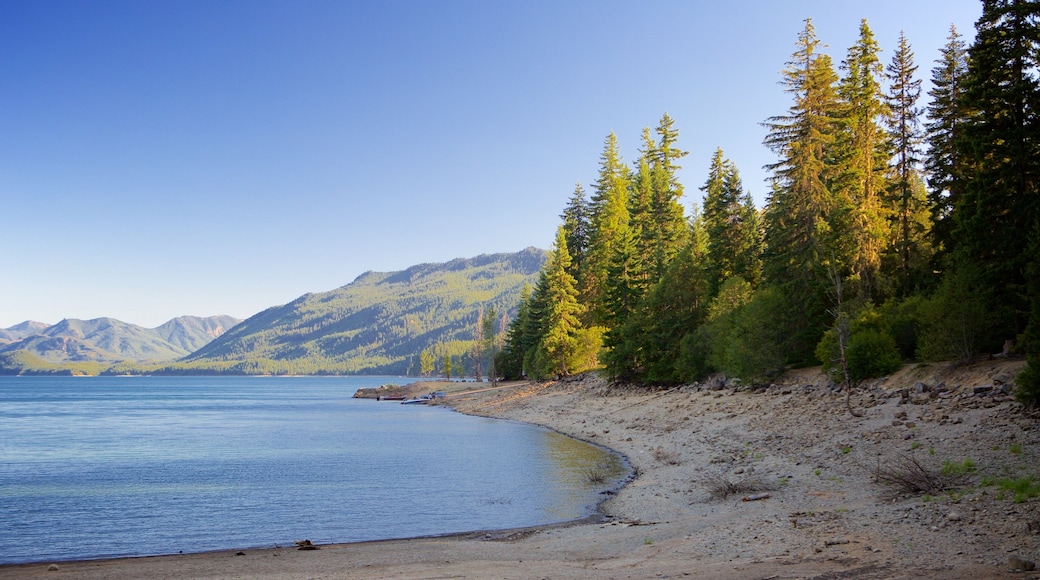 Central Washington featuring forest scenes, a sandy beach and a lake or waterhole