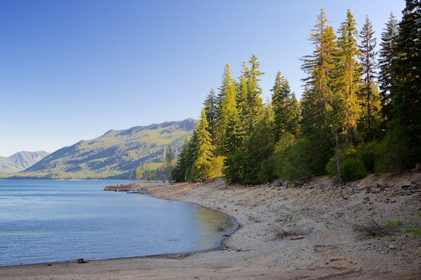 Central Washington which includes a sandy beach, a lake or waterhole and forests