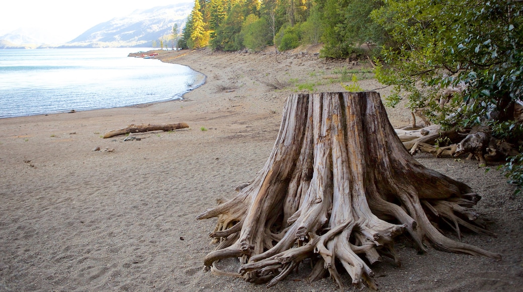 Central Washington showing a sandy beach