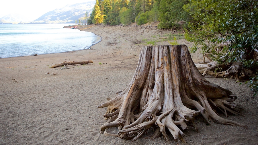 Centrale Washington som viser en strand