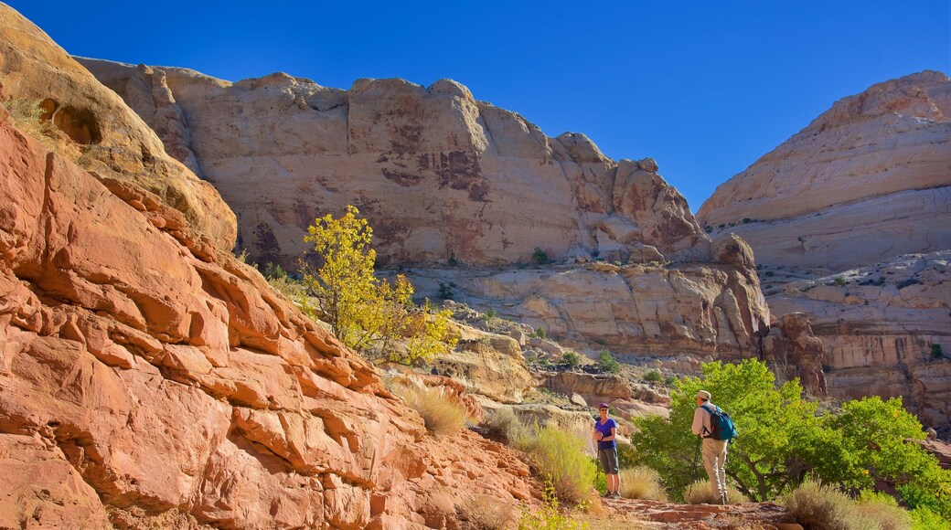 Torrey showing a gorge or canyon, desert views and tranquil scenes