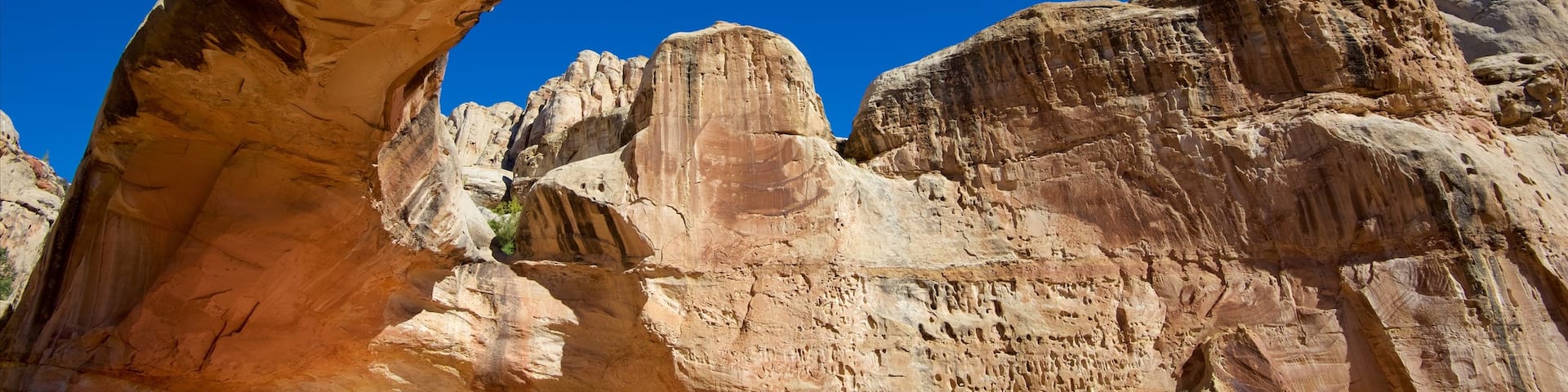 Torrey que incluye vistas al desierto y escenas tranquilas
