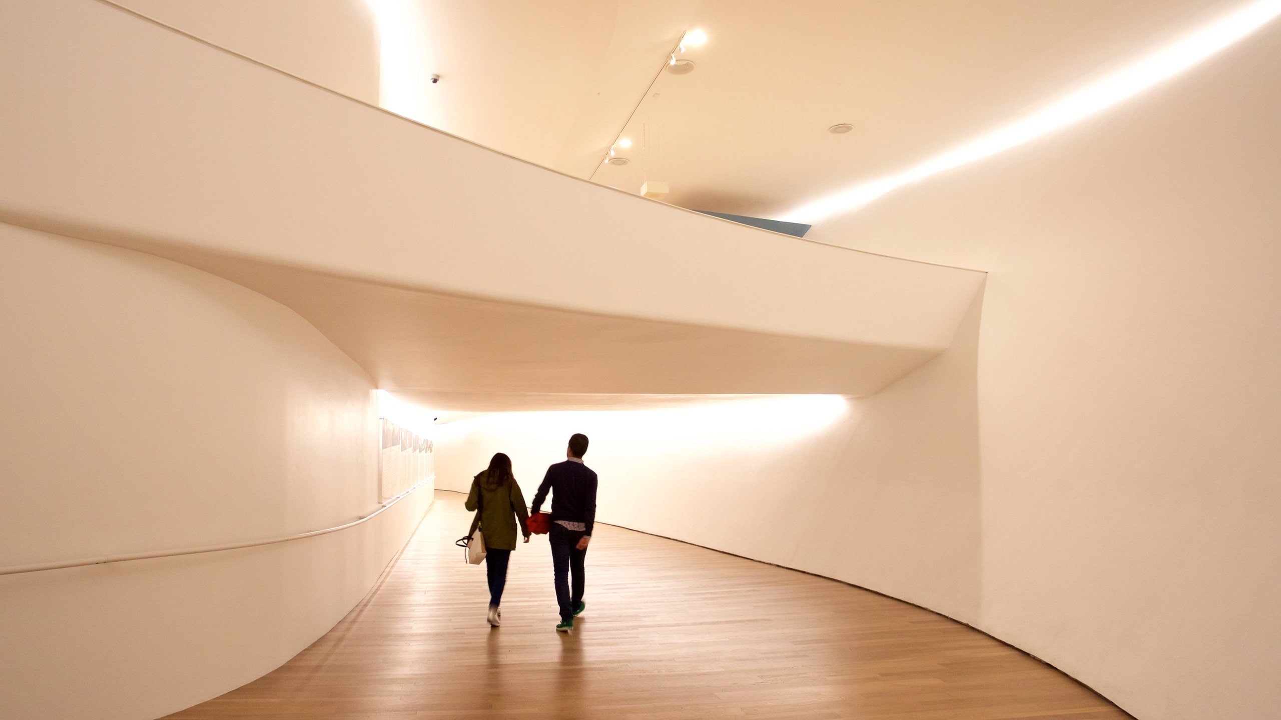 Museo Soumaya featuring interior views as well as a couple