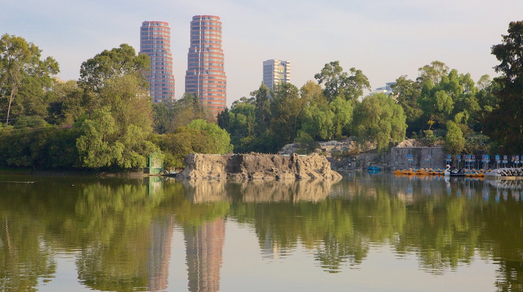 Chapultepec Park showing a garden, a skyscraper and a lake or waterhole