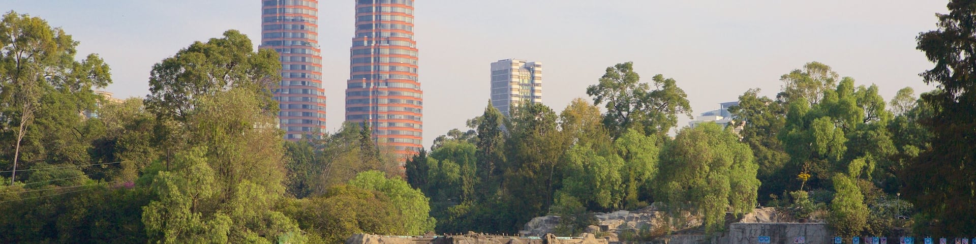 Chapultepec Park showing a garden, a skyscraper and a lake or waterhole