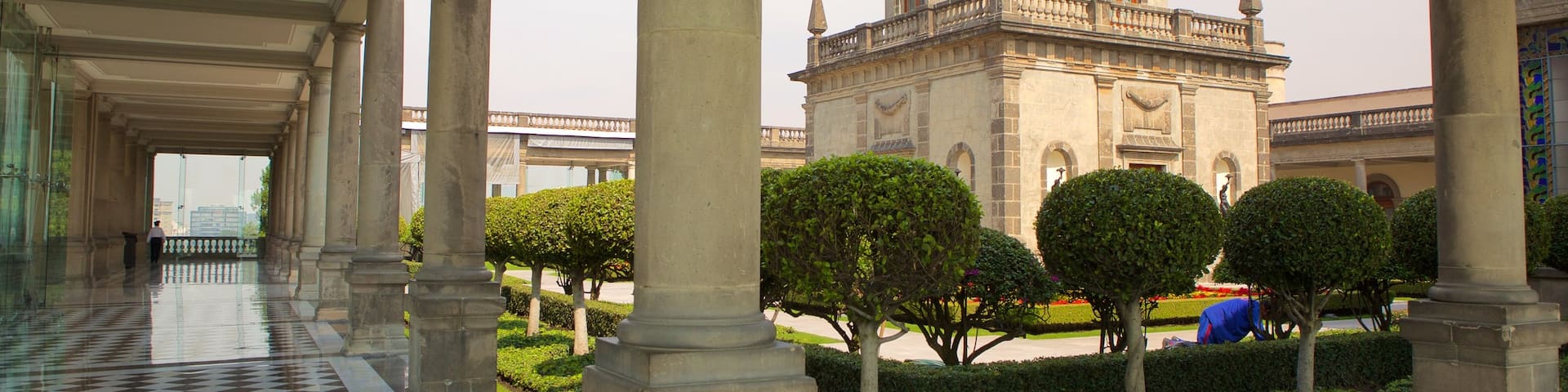 Castillo de Chapultepec mostrando un jardín, patrimonio de arquitectura y castillo o palacio