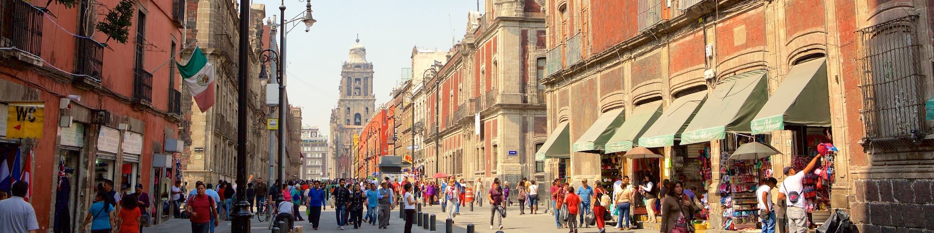 Mexico City centro caratteristiche di città e quartiere finanziario cosi come un grande gruppo di persone