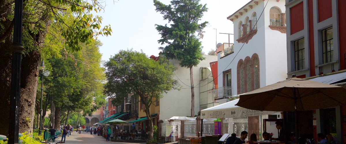 Coyoacán ofreciendo escenas de café y una ciudad