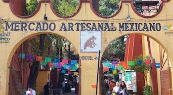 Coyoacan which includes signage