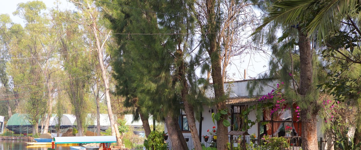 Xochimilco que incluye paseos en lancha, un río o arroyo y una casa