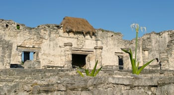 Tulum montrant patrimoine architectural et patrimoine historique