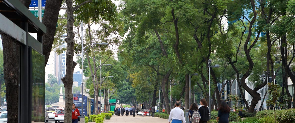 Reforma showing street scenes and a garden as well as a small group of people