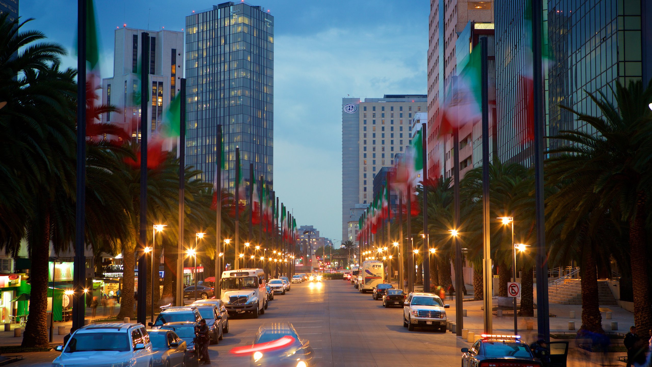 Reforma showing night scenes and a city