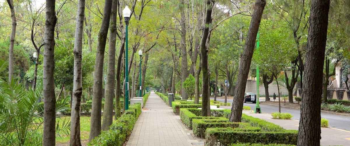 Polanco que incluye un parque
