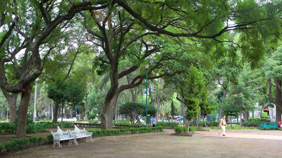 Polanco som omfatter en plads eller et torv og en park