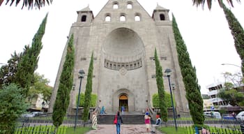 Polanco ofreciendo un jardín, arquitectura patrimonial y una iglesia o catedral