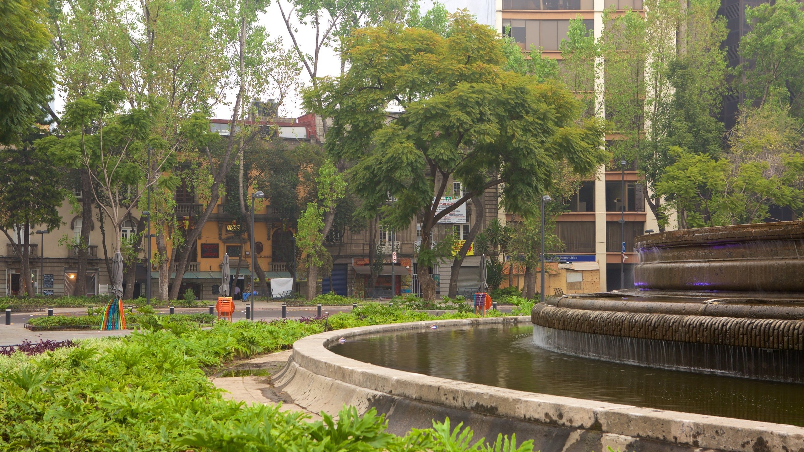 Top 20 La Condesa, México City condo and apartment rentals to rent from