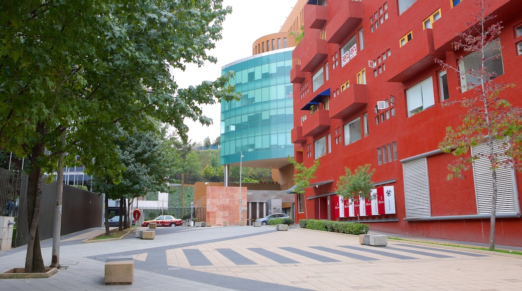 Santa Fe mostrando un parque o plaza y una ciudad