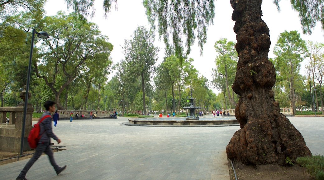 Alameda Central que incluye un parque o plaza y un jardín