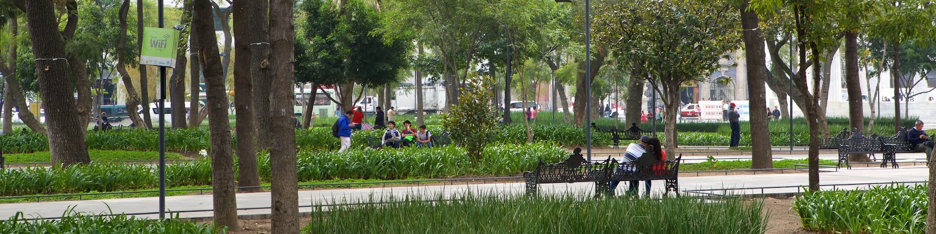 Alameda Central showing a park