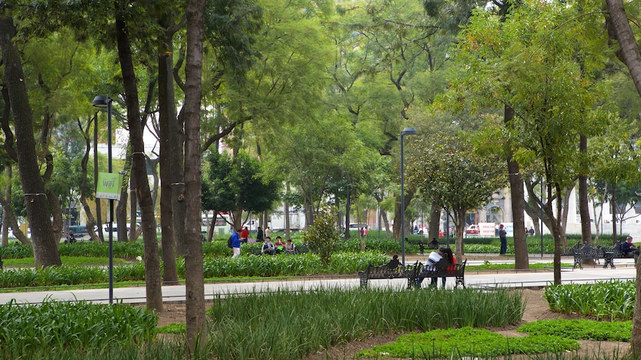 Alameda Central welches beinhaltet Garten