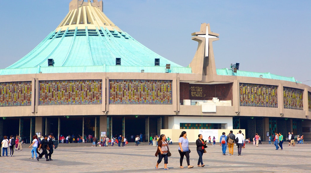 Basílica de Nuestra Señora de Guadalupe que incluye un parque o plaza, arquitectura moderna y una iglesia o catedral