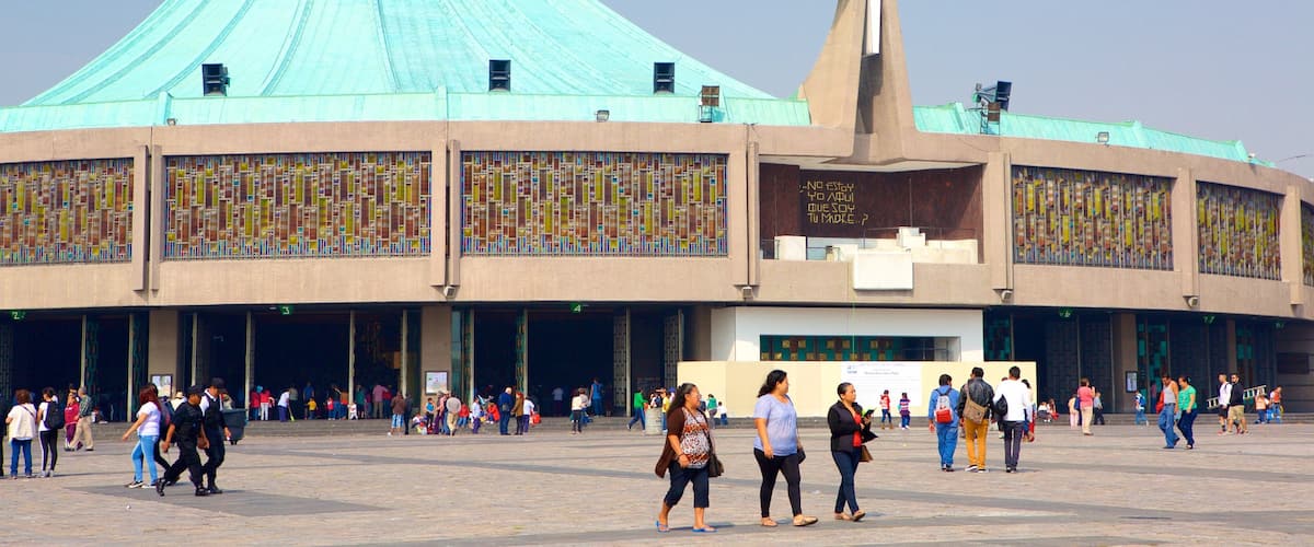 Basílica de Nuestra Señora de Guadalupe que incluye un parque o plaza, arquitectura moderna y una iglesia o catedral