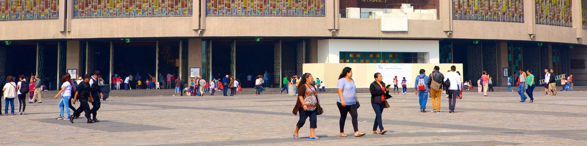 Basilica of Our Lady of Guadalupe featuring a square or plaza, modern architecture and a church or cathedral