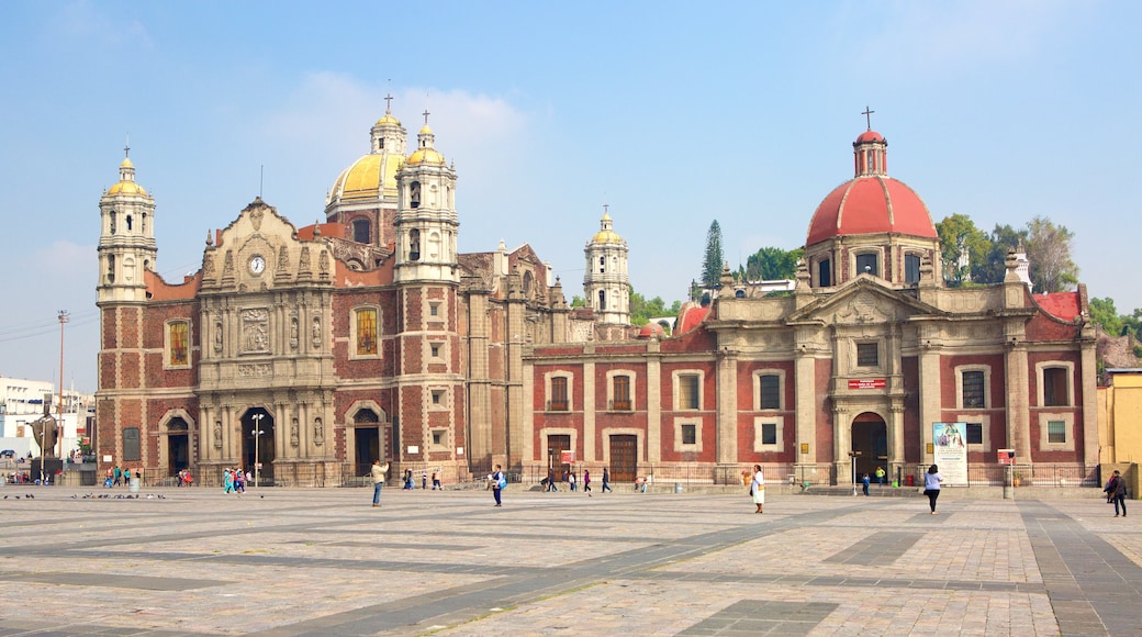 Basílica de Nuestra Señora de Guadalupe toont een kerk of kathedraal, historisch erfgoed en een plein