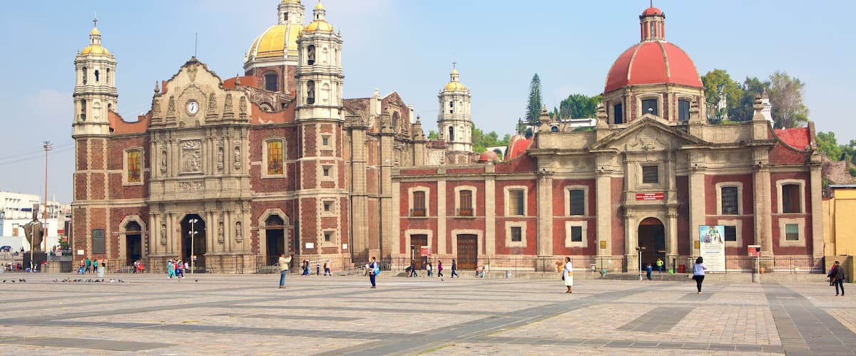 Basílica de Nuestra Señora de Guadalupe mostrando patrimonio de arquitectura, elementos del patrimonio y una iglesia o catedral