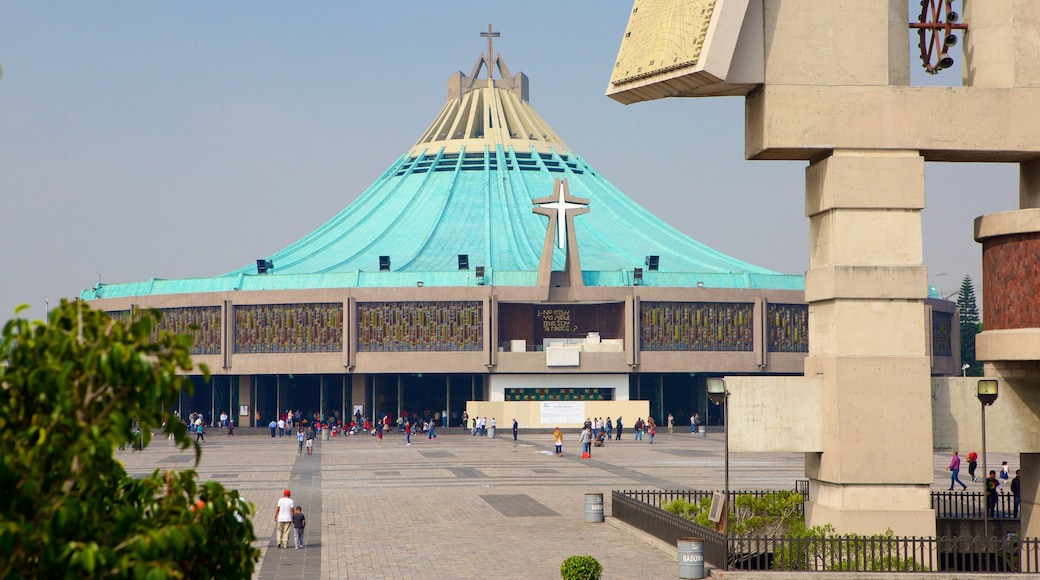 Basilica of Our Lady of Guadalupe showing a church or cathedral, a statue or sculpture and a square or plaza