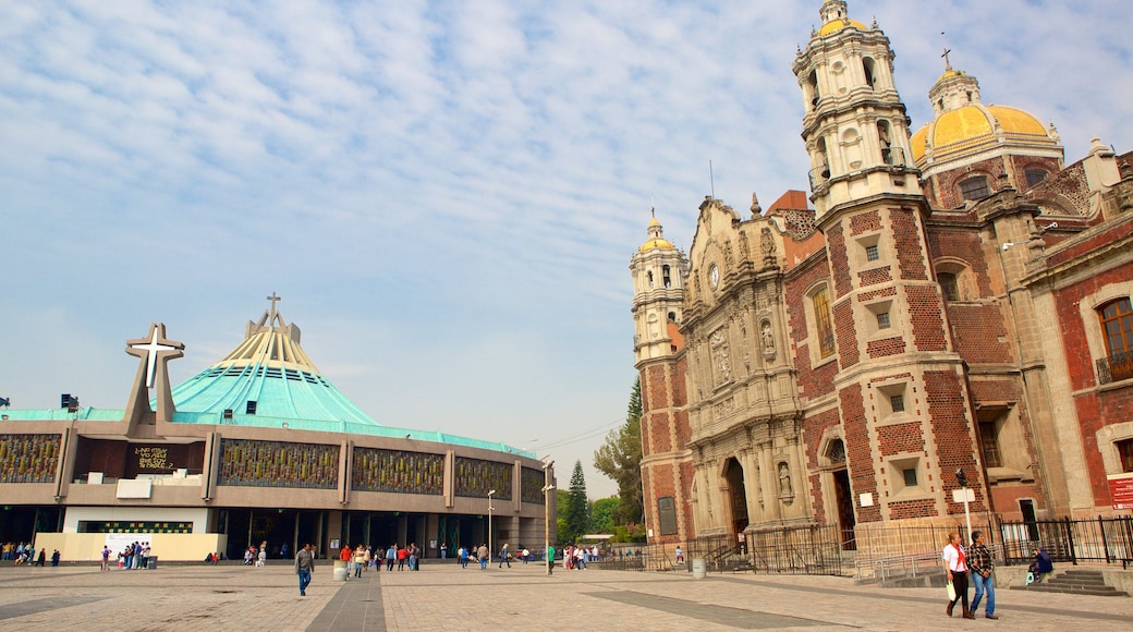 Basilica of Our Lady of Guadalupe which includes a square or plaza, heritage architecture and a church or cathedral