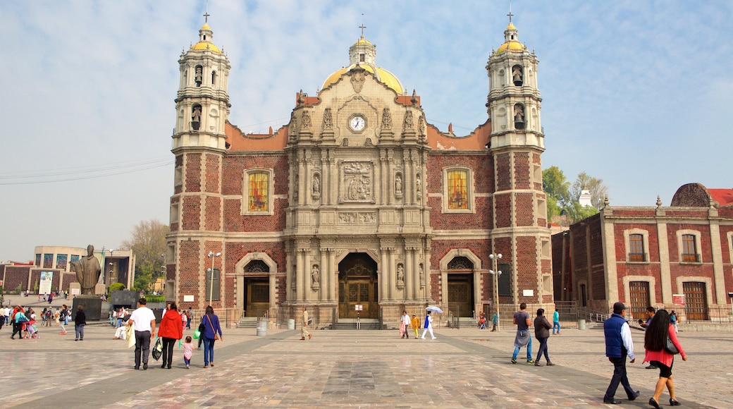 Basilica of Our Lady of Guadalupe showing heritage architecture, a square or plaza and a church or cathedral