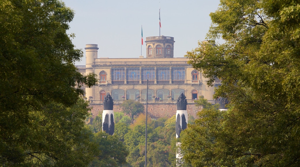 Castillo de Chapultepec showing a garden