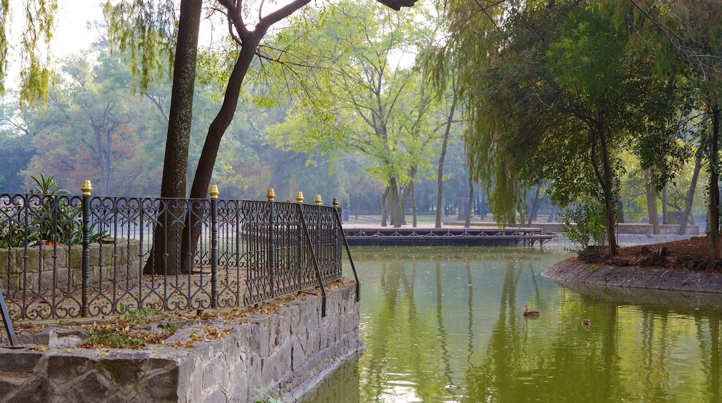 Chapultepec Park which includes a garden and a lake or waterhole