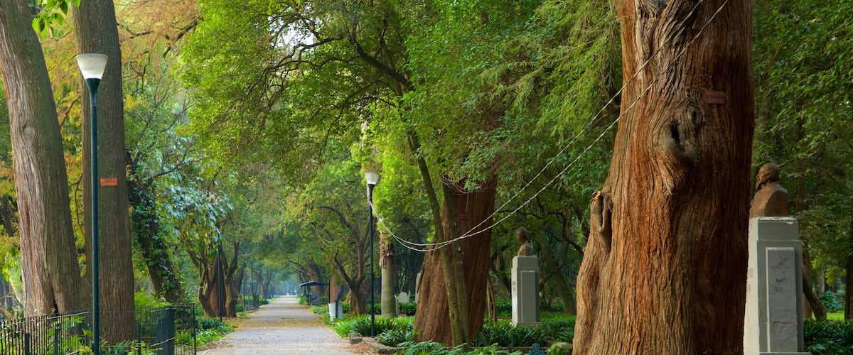 Parque Chapultepec que incluye un parque
