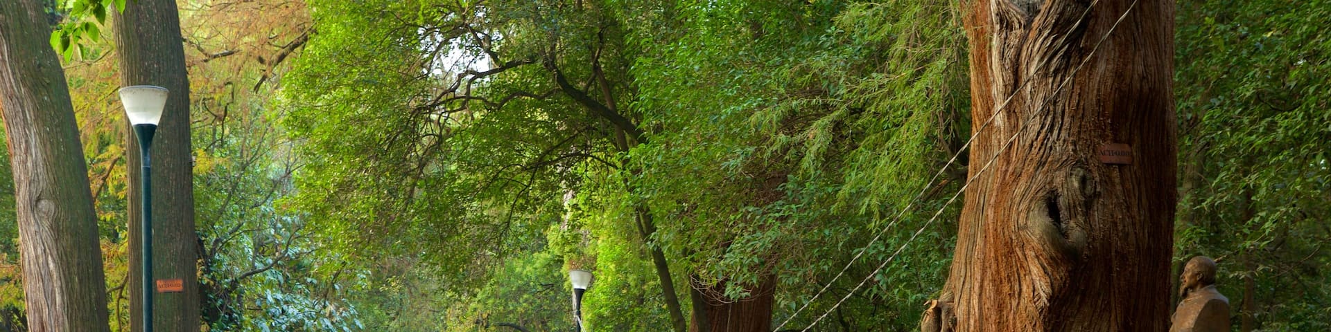 Chapultepec Park which includes a garden