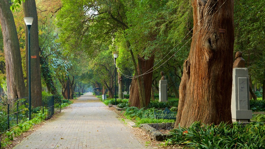 Parque Chapultepec que incluye un parque