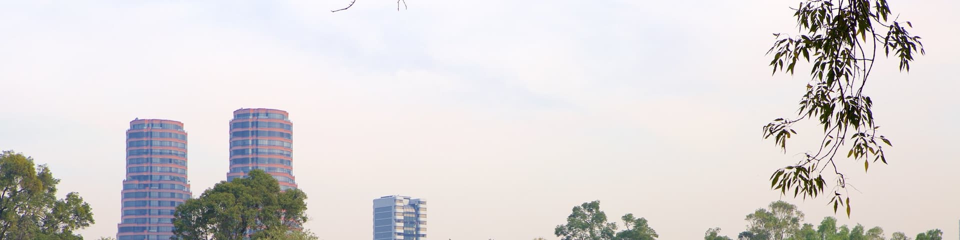 Chapultepec Park which includes a park and a lake or waterhole