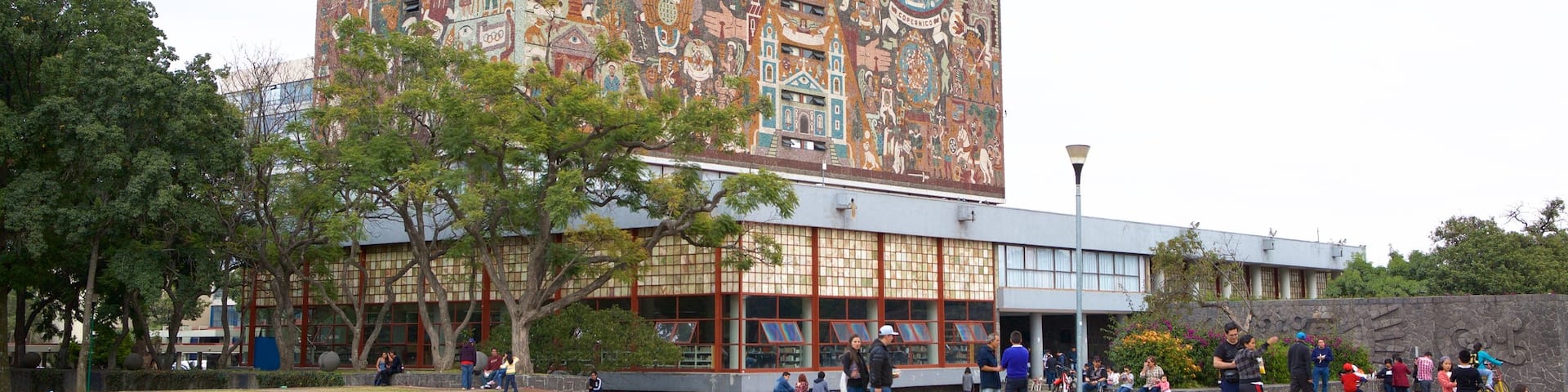 メキシコ国立自治大学 フィーチャー 庭園
