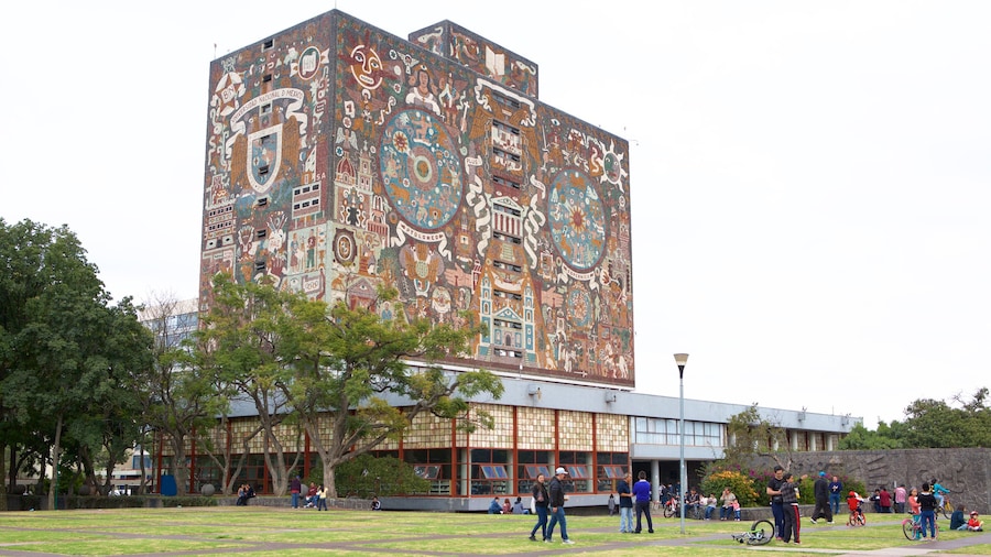 Universidad Nacional Autónoma de México ofreciendo un jardín