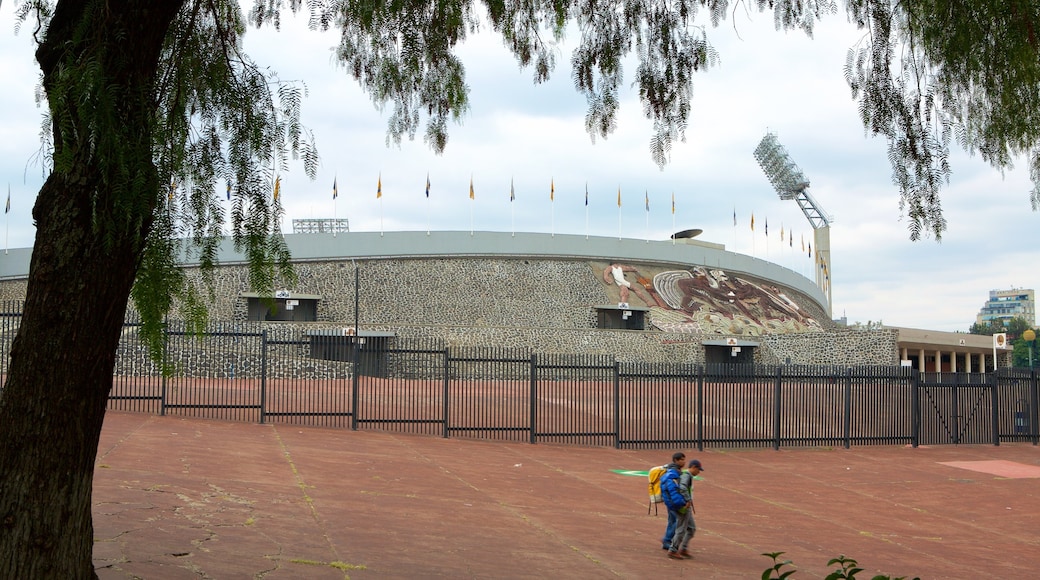 Universidad Nacional Autónoma de México que incluye una plaza