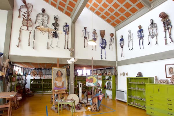 Museo Diego Rivera mostrando vista interna