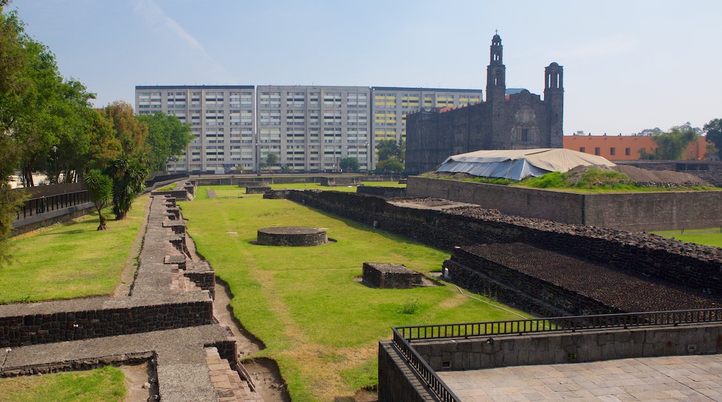 Plaza de las Tres Culturas som visar ett torg, en trädgård och infödd kultur