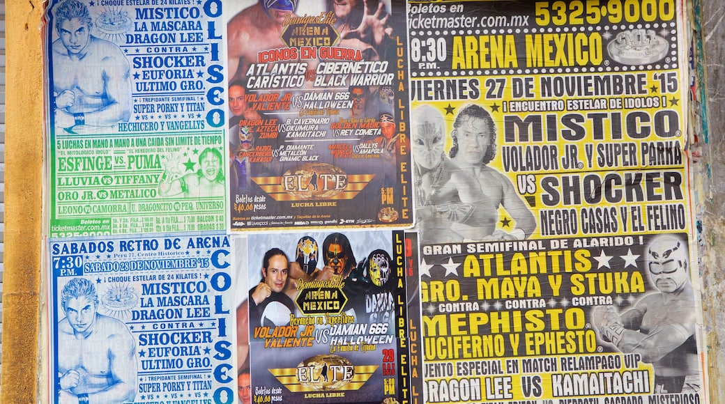 Arena Mexico which includes signage