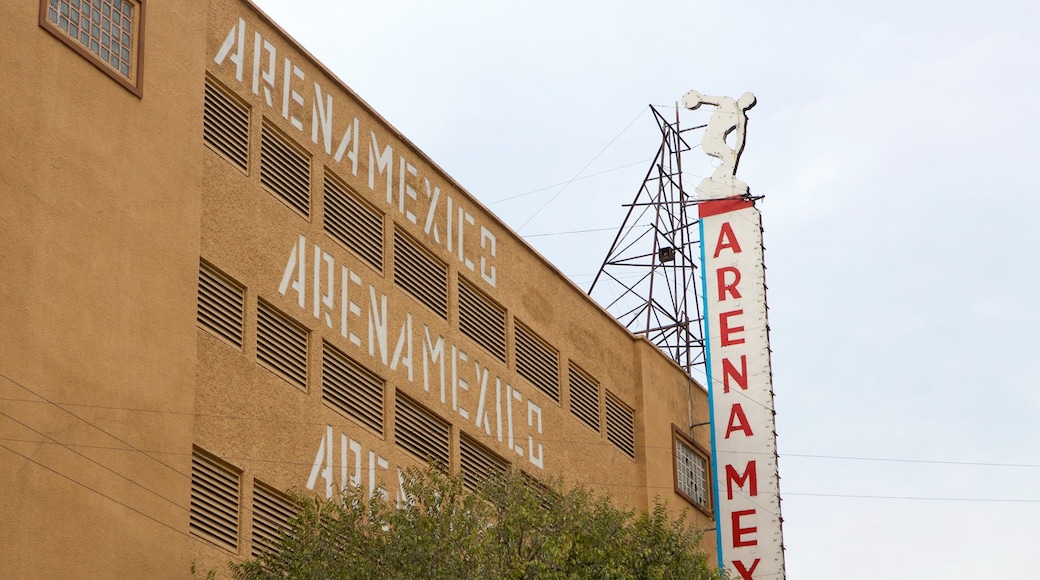 Arena Mexico which includes signage