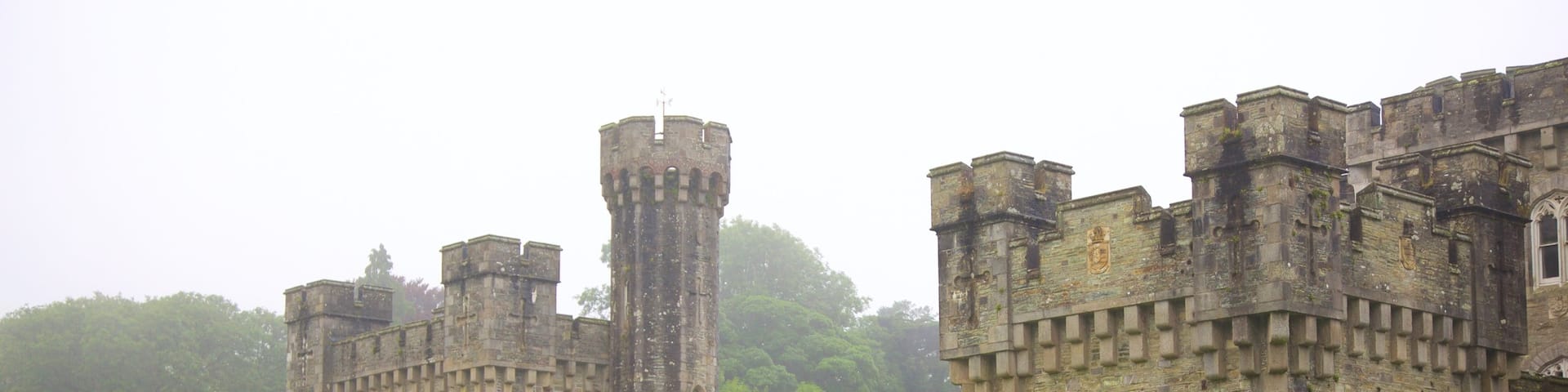 Irish Agricultural Museum que incluye un castillo, una fuente y elementos del patrimonio