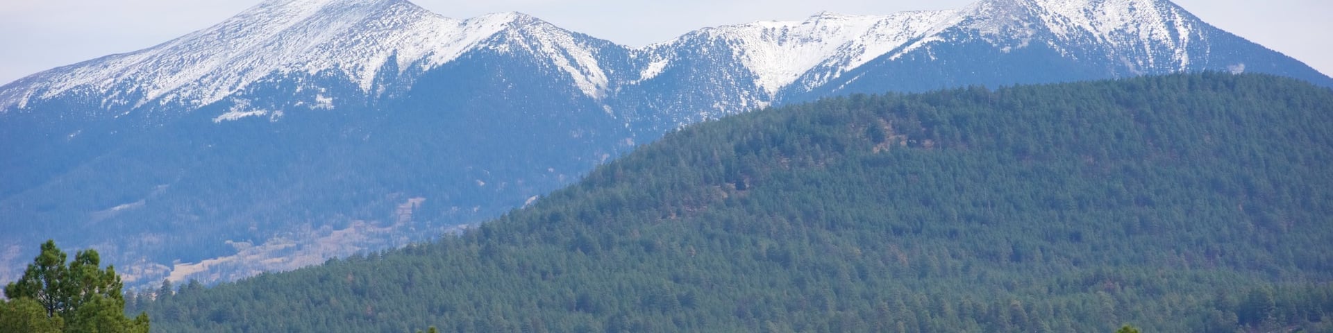 Humphreys Peak showing forests and mountains